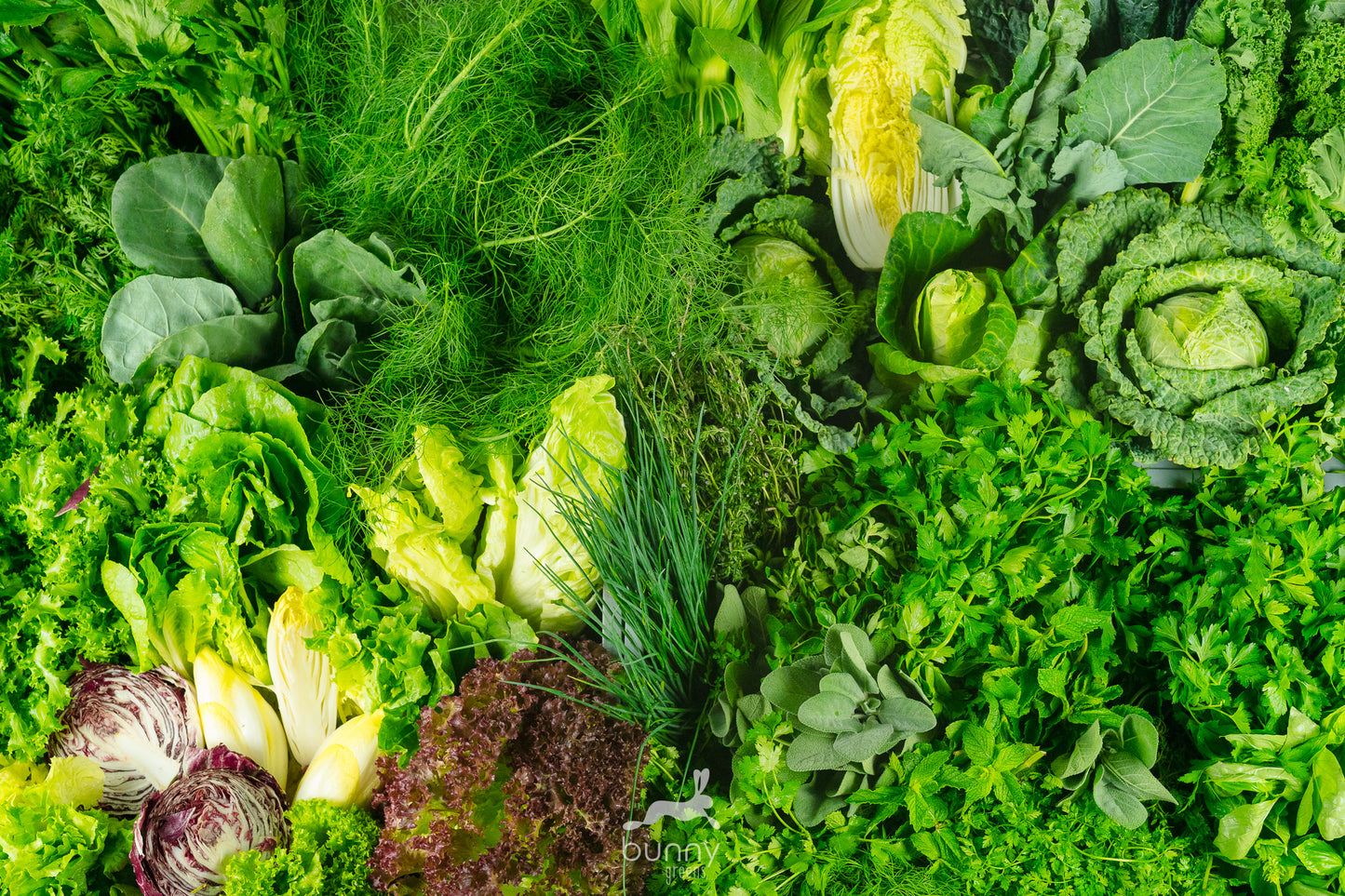 bunte Gemüsevielfalt