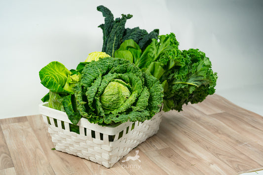 Greenbox Kohlvielfalt