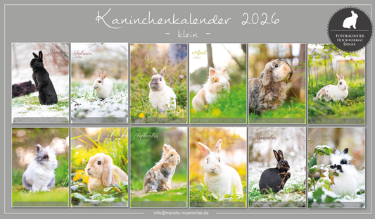 Kaninchen A4 Kalender 2026