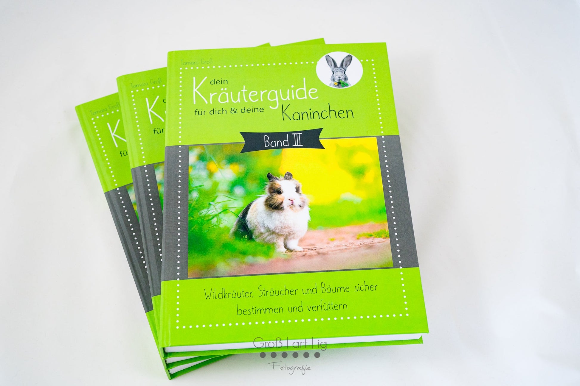 Kräuterguide Band III Cover