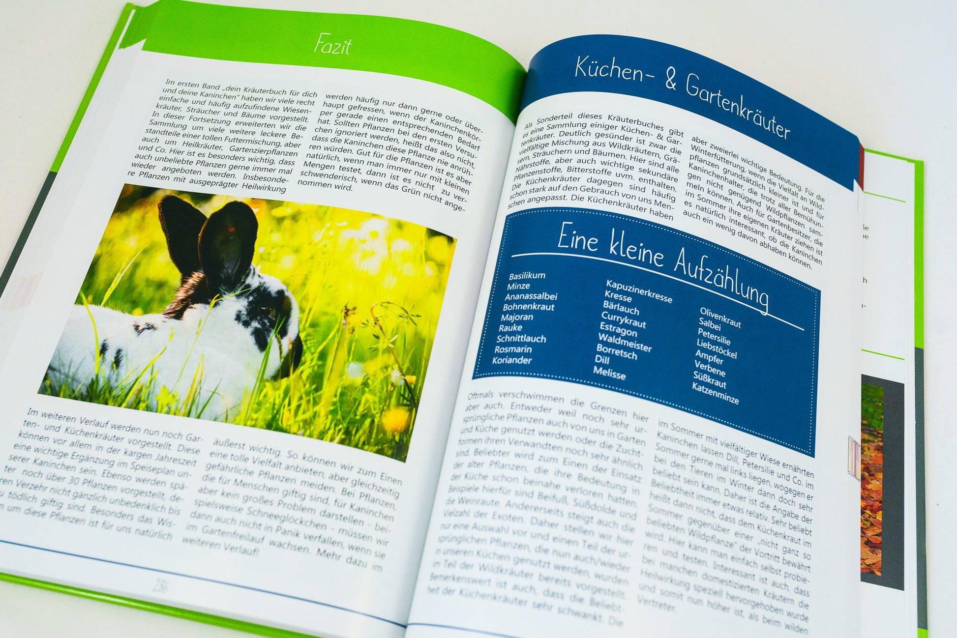 Kräuterguide Band II Küchenkräuterspezial